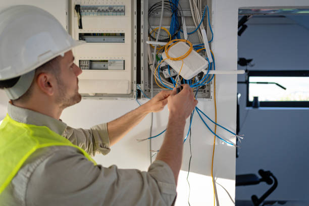 Best Electric Panel Repair  in Rocky Top, TN
